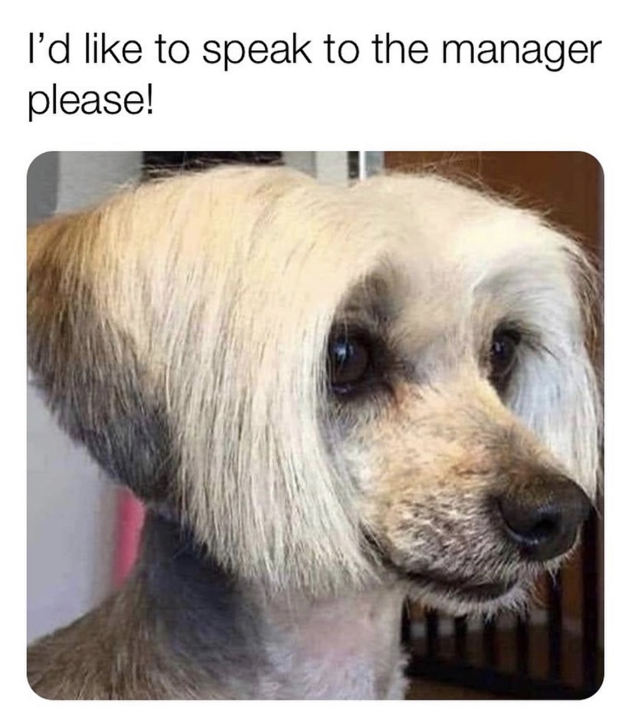 photo caption - I'd to speak to the manager please!