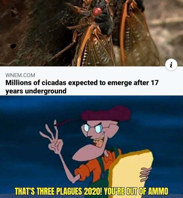 cartoon - Wnem.Com Millions of cicadas expected to emerge after 17 years underground That'S Three Plagues 2020! You'Re Out Of Ammo