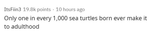 Cheezburger, Inc. - ItsFiin3 points. 10 hours ago Only one in every 1,000 sea turtles born ever make it to adulthood
