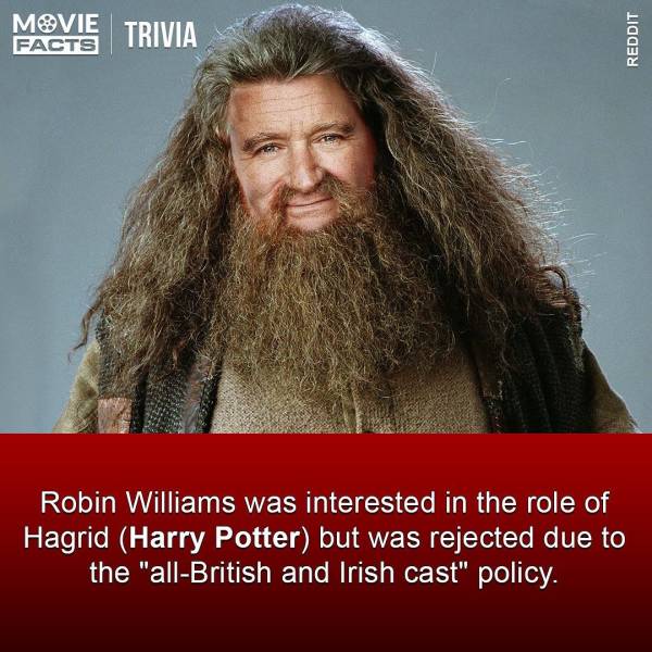 hagrid harry potter - Movie Trivia Facts Reddit Robin Williams was interested in the role of Hagrid Harry Potter but was rejected due to the "allBritish and Irish cast" policy.