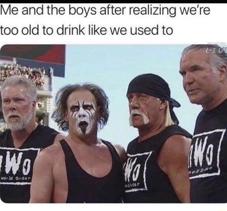 scott hall sting - Me and the boys after realizing we're too old to drink we used to Wol Wo Vo world Order