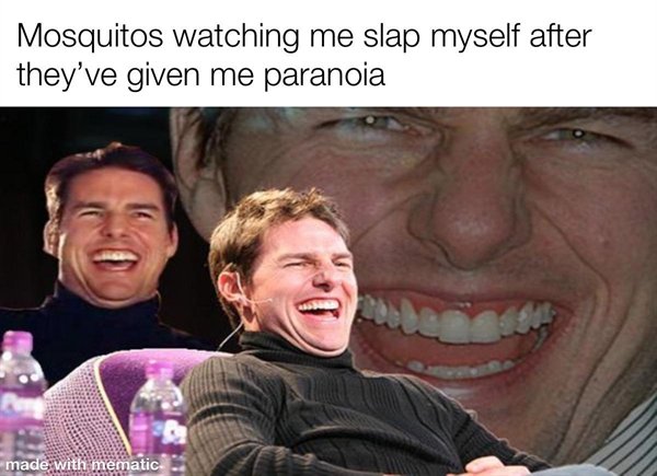 tom cruise gamers meme - Mosquitos watching me slap myself after they've given me paranoia made with mematic