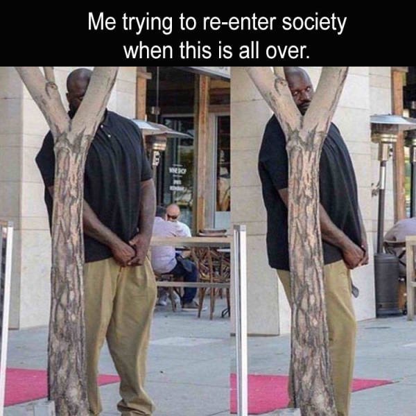 shaq meme you - Me trying to reenter society when this is all over. Wnio