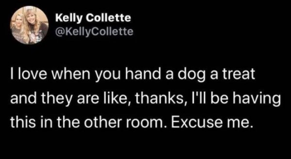 lyrics - Kelly Collette I love when you hand a dog a treat and they are , thanks, I'll be having this in the other room. Excuse me.