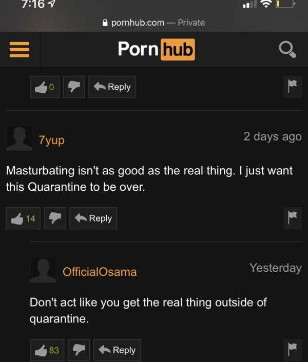 screenshot - 7 pornhub.com Private Porn hub O. 0 7yup 2 days ago Masturbating isn't as good as the real thing. I just want this Quarantine to be over. 14 OfficialOsama Yesterday Don't act you get the real thing outside of quarantine. 83