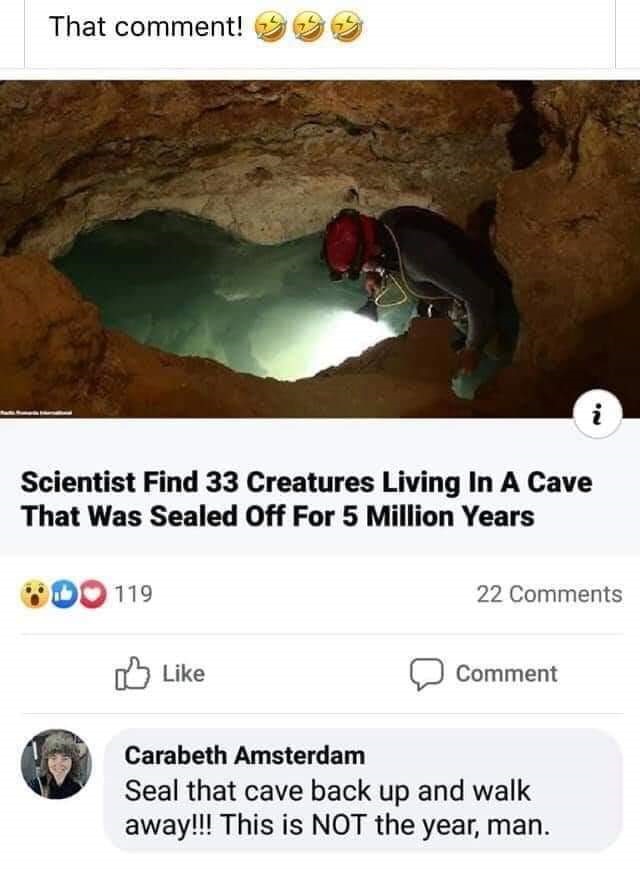 photo caption - That comment! .N Scientist Find 33 Creatures Living In A Cave That Was Sealed Off For 5 Million Years 119 22 Comment Carabeth Amsterdam Seal that cave back up and walk away!!! This is Not the year, man.