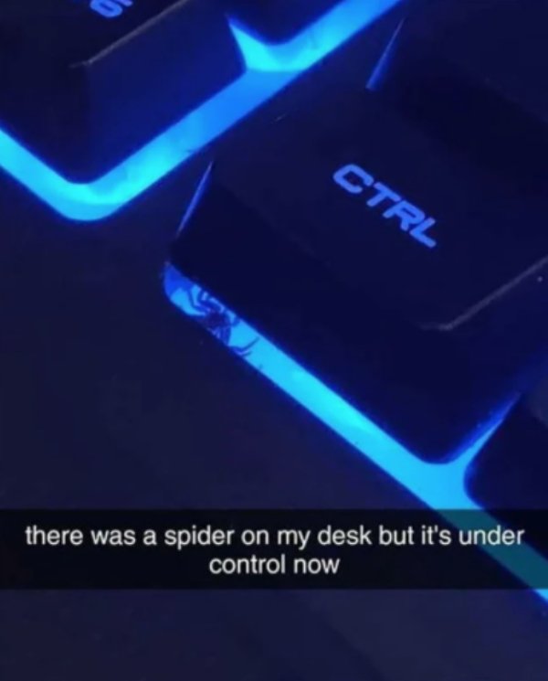 Ctrl there was a spider on my desk but it's under control now