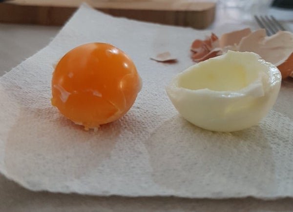 egg yolk