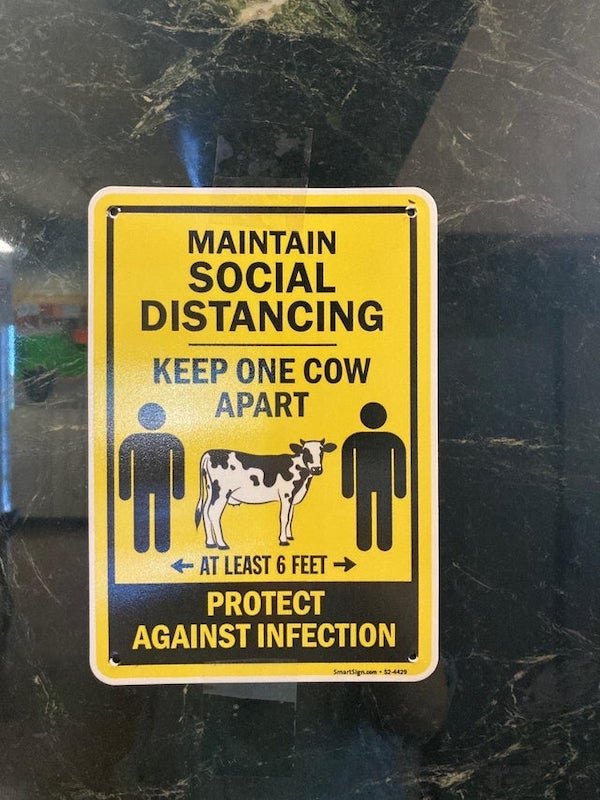 street sign - Maintain Social Distancing Keep One Cow Apart W. At Least 6 Feet Protect Against Infection Smart.com4429