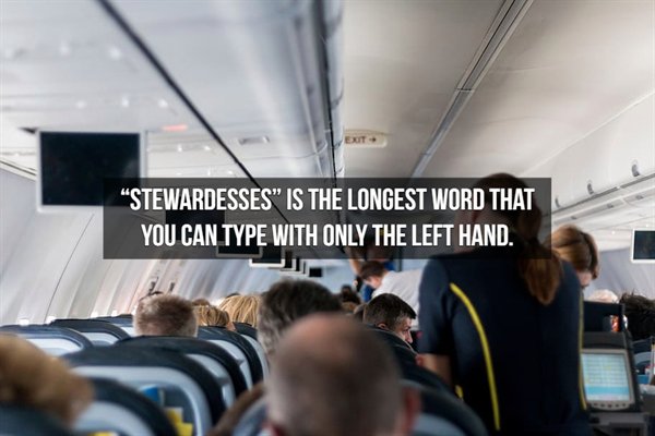 longest flight in the world 2019 - "Stewardesses" Is The Longest Word That You Can Type With Only The Left Hand.