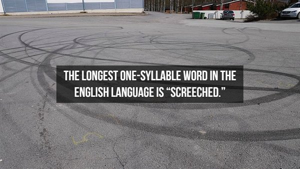 asphalt - The Longest OneSyllable Word In The English Language Is Screeched."