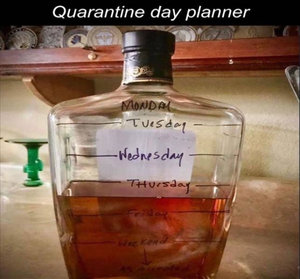liqueur - Quarantine day planner Monday Tuesday Wednesday Thursday Weekend