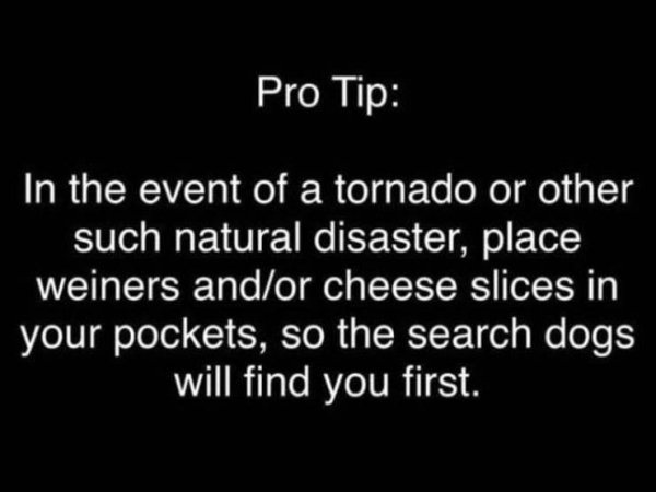 Pro Tip In the event of a tornado or other such natural disaster, place weiners and or cheese slices in your pockets, so the search dogs will find you first.
