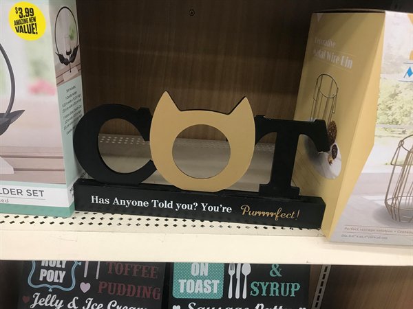 picture frame says COT instead of CAT