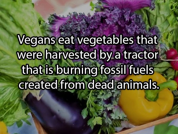 21 Random Thoughts to Think About.