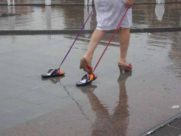 woman walking two sandals on a leash in the rain