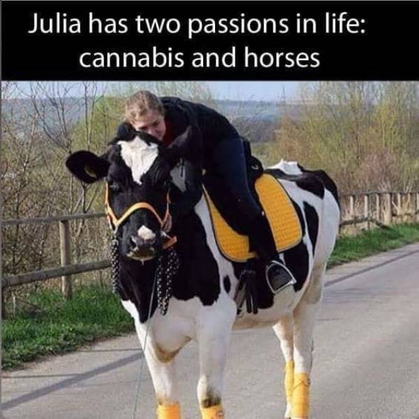 Julia has two passions in life cannabis and horses