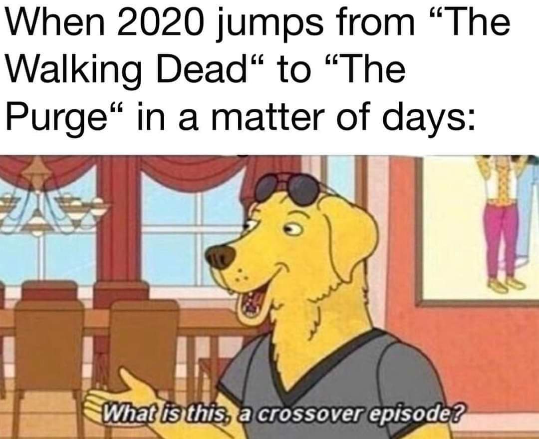 crossover episode meme - When 2020 jumps from "The Walking Dead" to "The Purge" in a matter of days What is this, a crossover episode?