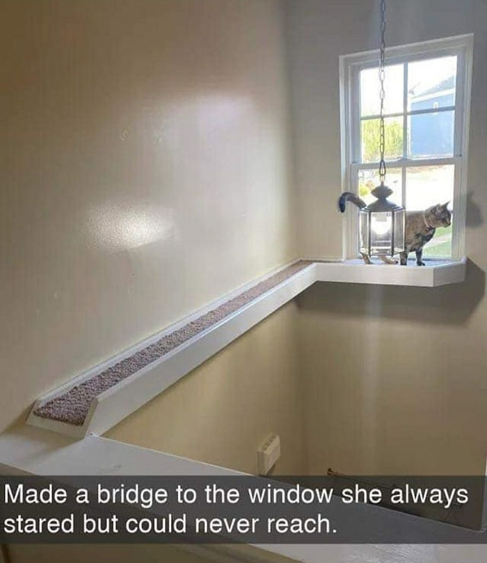 cat bridge to window - Made a bridge to the window she always stared but could never reach.