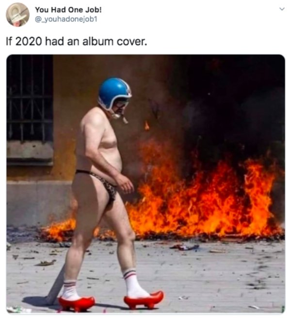you will never party this hard - You Had One Job! If 2020 had an album cover.