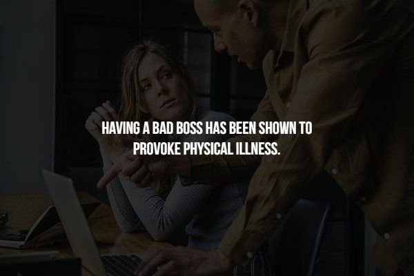 human - Having A Bad Boss Has Been Shown To Provoke Physical Illness.