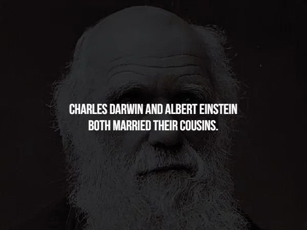 giustiziere della notte 3 - Charles Darwin And Albert Einstein Both Married Their Cousins.