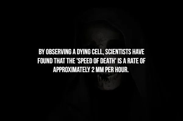 creepy facts 2019 - By Observing A Dying Cell, Scientists Have Found That The 'Speed Of Death' Is A Rate Of Approximately 2 Mm Per Hour.