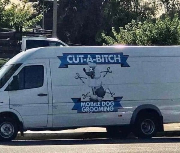 cut a bitch dog grooming - CutABitch a Mobile Dog Grooming
