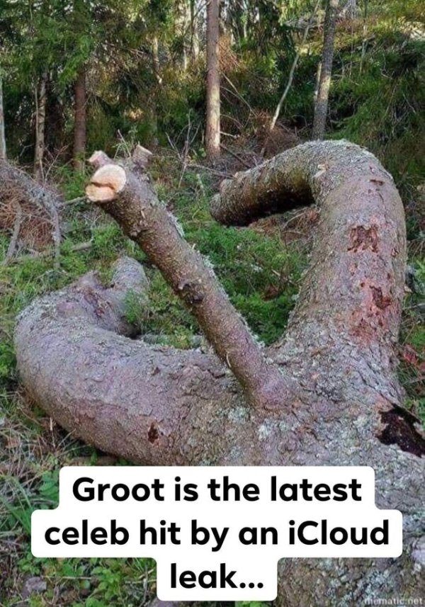 early morning wood - Groot is the latest celeb hit by an iCloud leak... iematid net