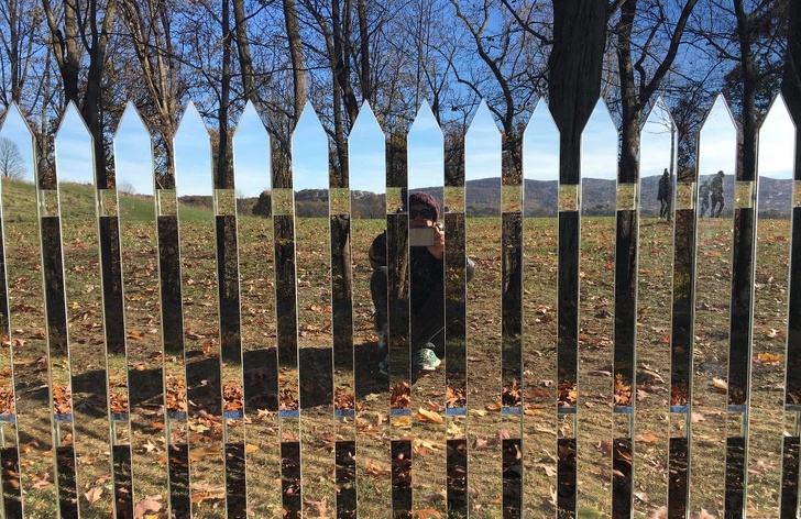 fence