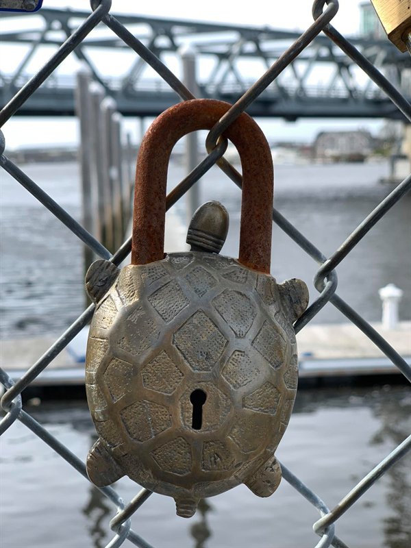 turtle shaped metal padlock on a fence