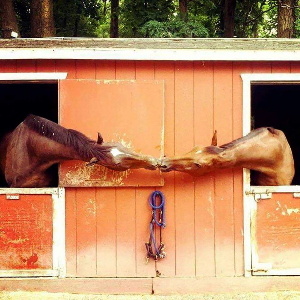 stable relationship