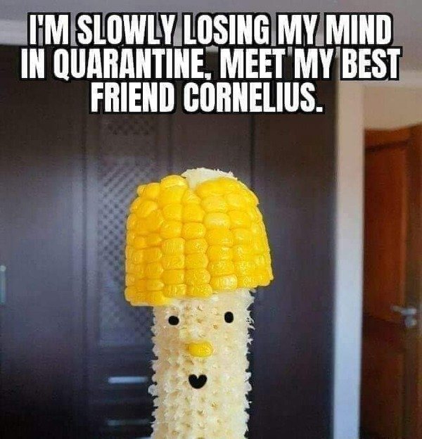 corn on the cob - I'M Slowly Losing My Mind In Quarantine, Meet My Best Friend Cornelius.