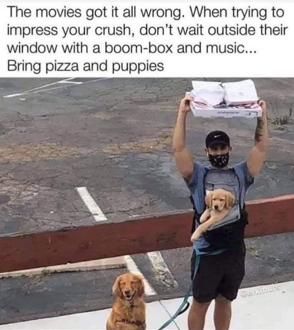 photo caption - The movies got it all wrong. When trying to impress your crush, don't wait outside their window with a boombox and music... Bring pizza and puppies Qerkinus