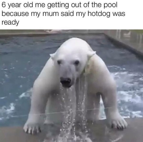 polar bear coming out of water gif - 6 year old me getting out of the pool because my mum said my hotdog was ready