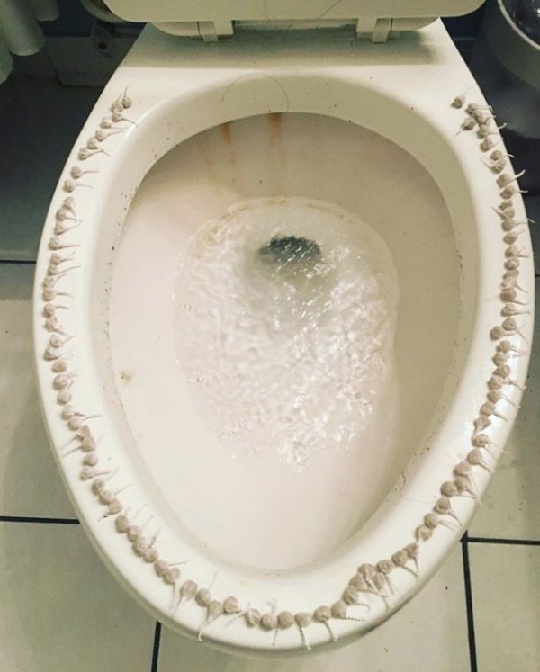 flash bangs on the toilet seat prank