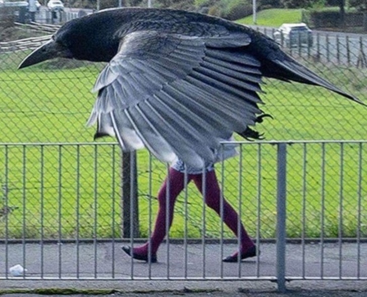 woman with bird legs