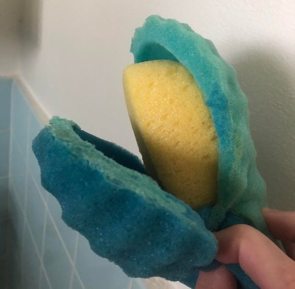 This sponge has a smaller sponge inside it