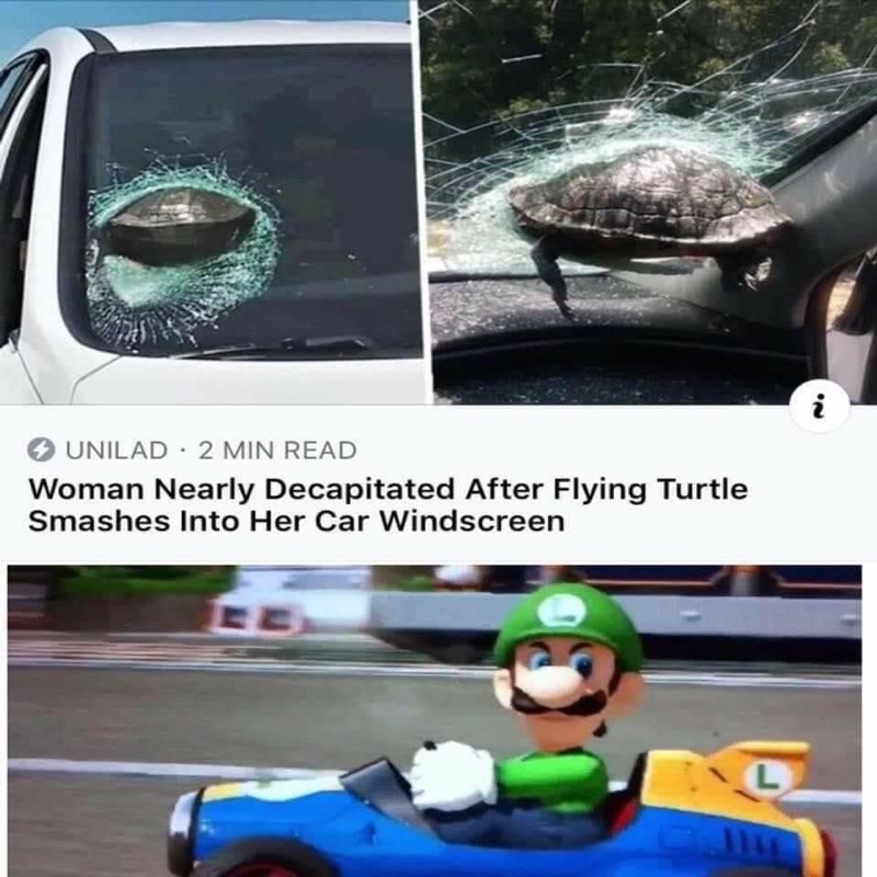 Windshield - Unilad 2 Min Read Woman Nearly Decapitated After Flying Turtle Smashes Into Her Car Windscreen L