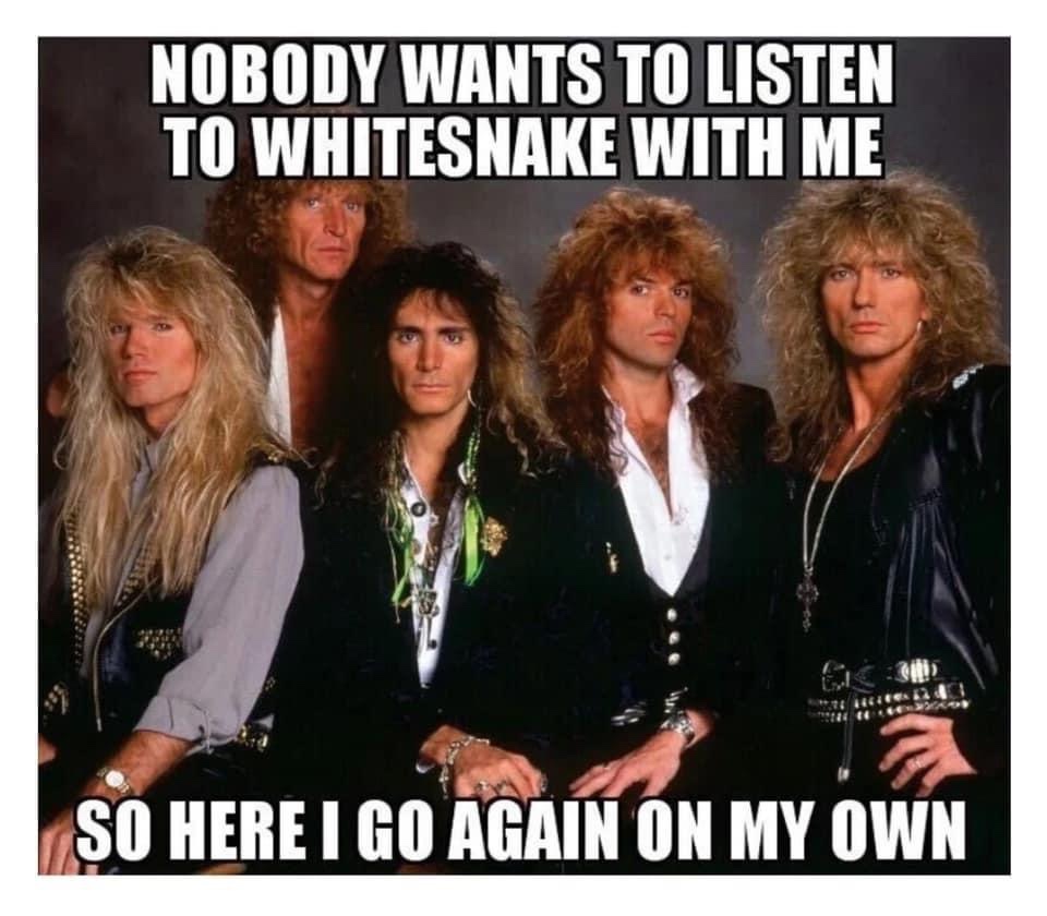 only road i ve ever known - Nobody Wants To Listen To Whitesnake With Me So Here I Go Again On My Own
