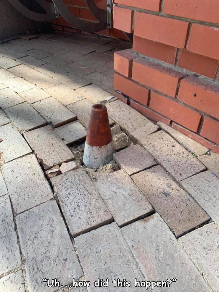 29 People Who Tried and Failed.