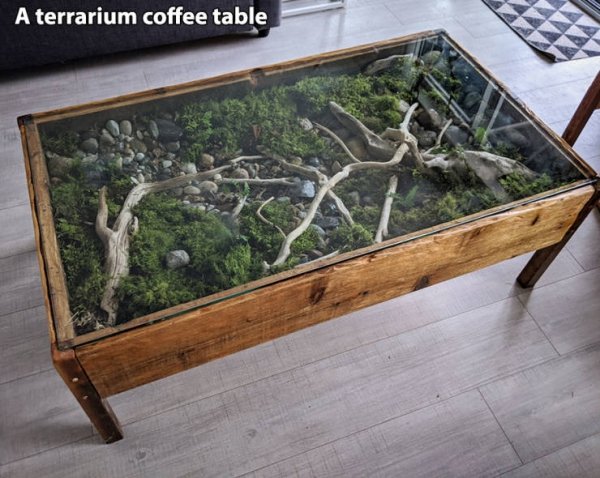 coffee table - A terrarium coffee table