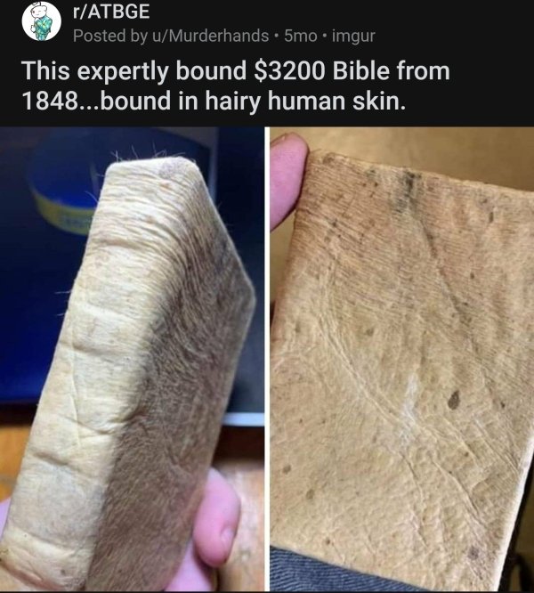 bible bound in human skin - rAtbge Posted by uMurderhands. 5mo.imgur This expertly bound $3200 Bible from 1848...bound in hairy human skin.