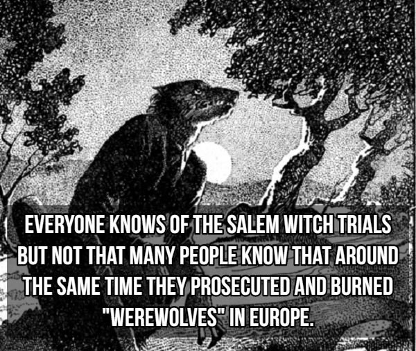 folklore werewolf - Everyone Knows Of The Salem Witch Trials But Not That Many People Know That Around The Same Time They Prosecuted And Burned "Werewolves" In Europe.
