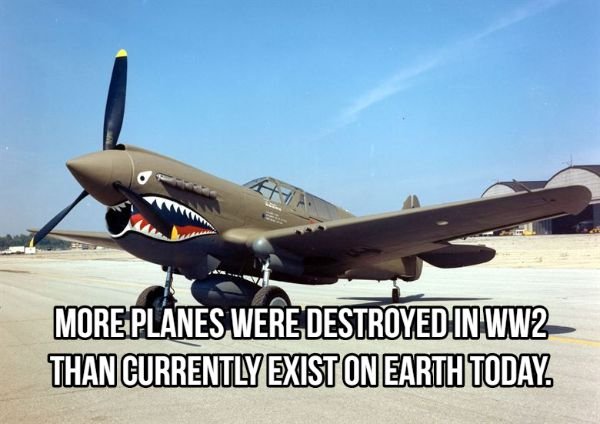 p 40 warhawk - More Planes Were Destroyed In WW2 Than Currently Exist On Earth Today