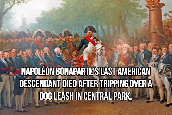 napoleon in netherlands - Napolon Bonaparte'S Last Americano Descendant Died After Tripping Over A Dog Leash In Central Park.