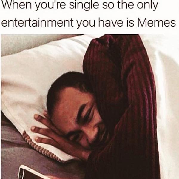 single loser memes - When you're single so the only entertainment you have is Memes