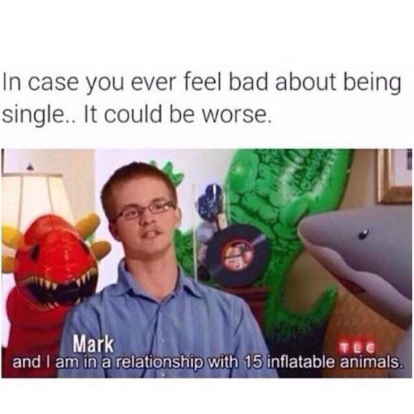 being single memes - In case you ever feel bad about being single.. It could be worse. Mark Tec and I am in a relationship with 15 inflatable animals.