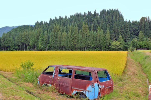 old red van abandoned in a field