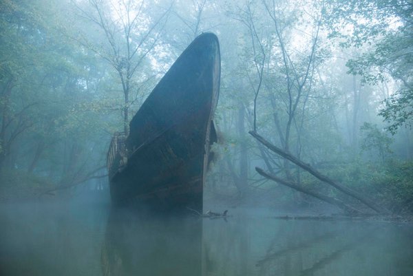 old abandoned ship in a swamp